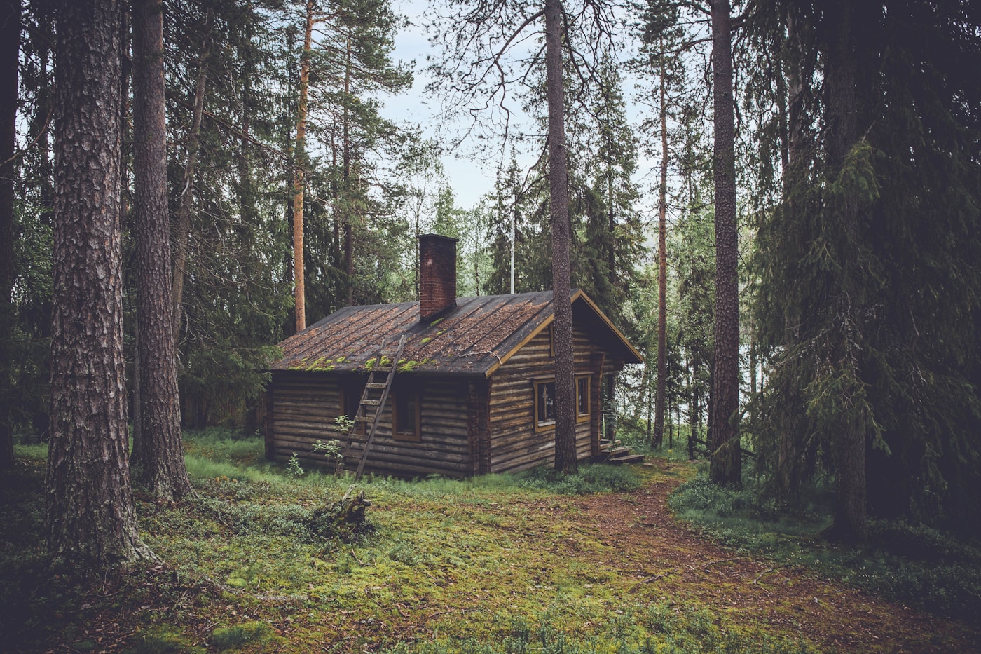 Лесной дом среди сосен